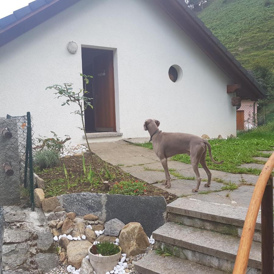 Casa Sole Διαμέρισμα Leontica Εξωτερικό φωτογραφία